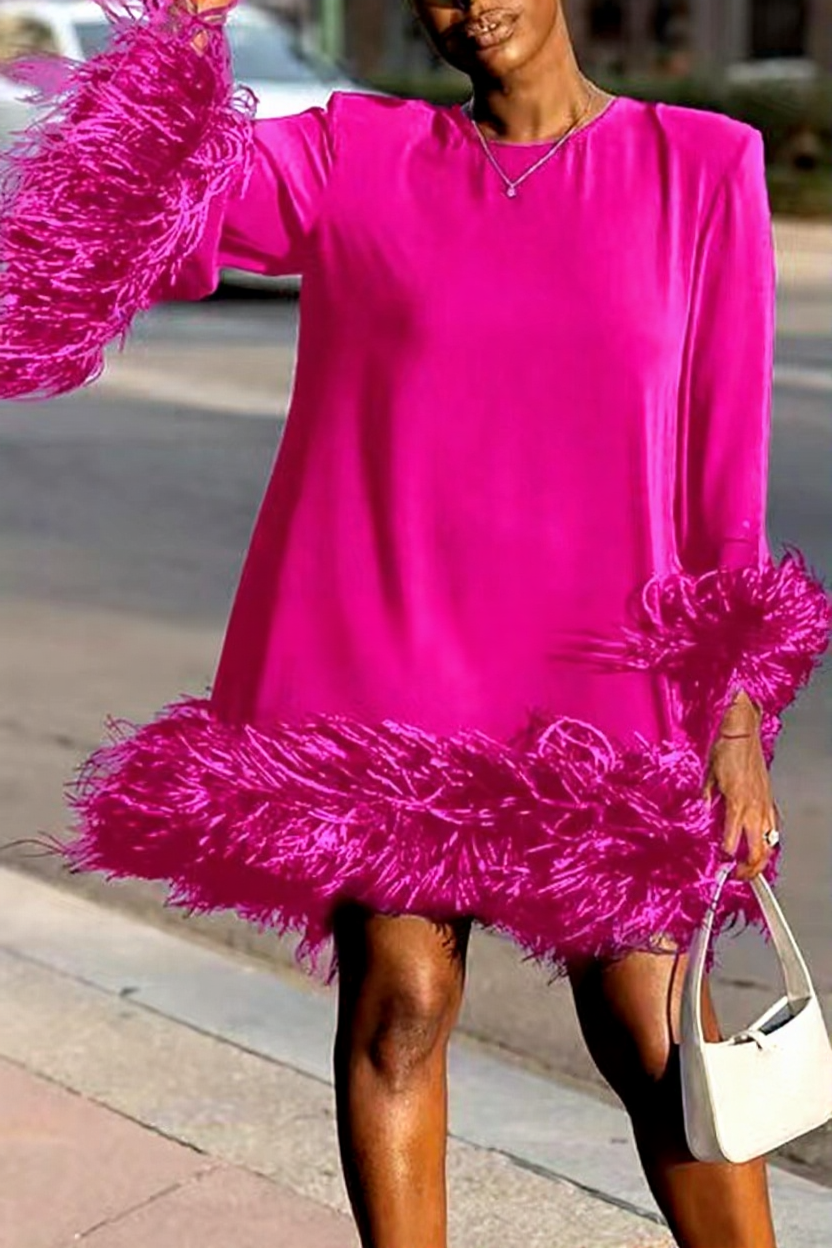 Asymmetrical Shirt Feather Mini Dress